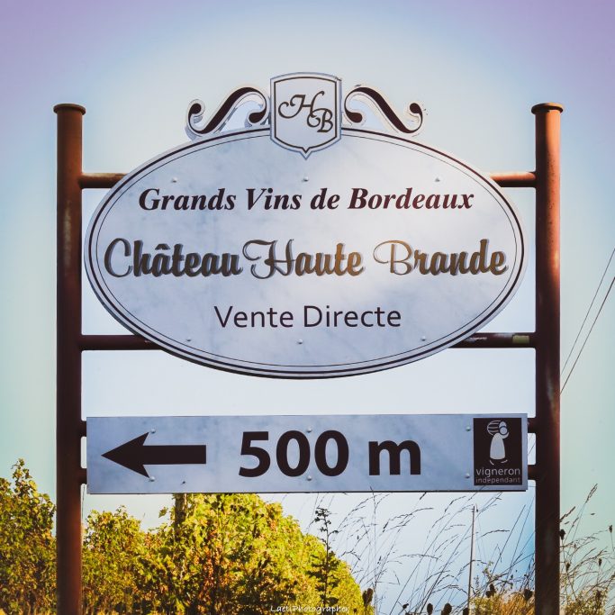 photographe-corporate-Marmande - Bordeaux