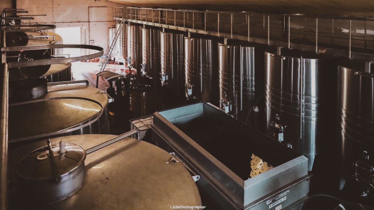 photographe-corporate-Marmande - Bordeaux