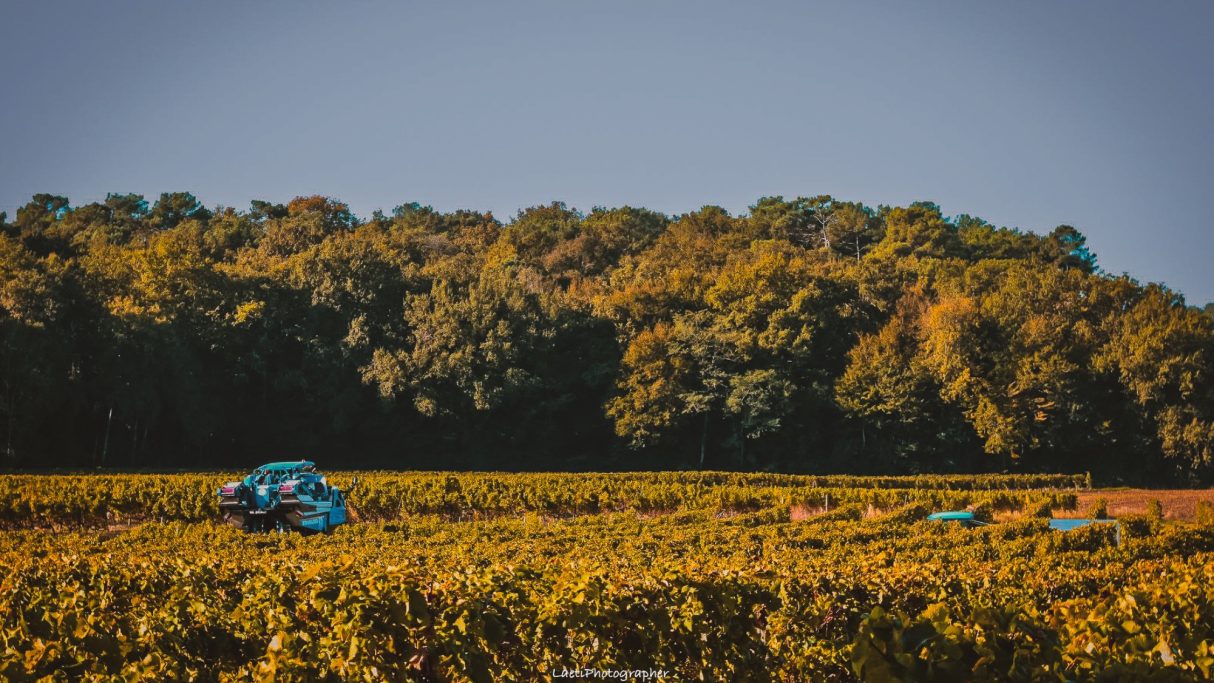 photographe-corporate-Marmande - Bordeaux