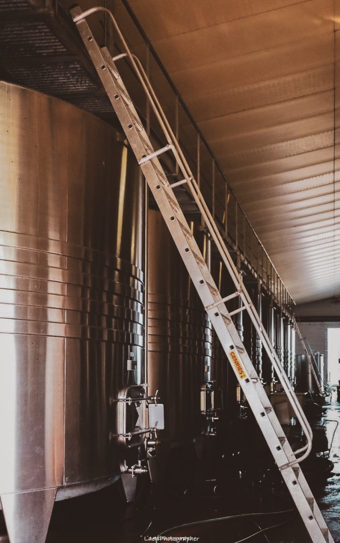 photographe-corporate-Marmande - Bordeaux