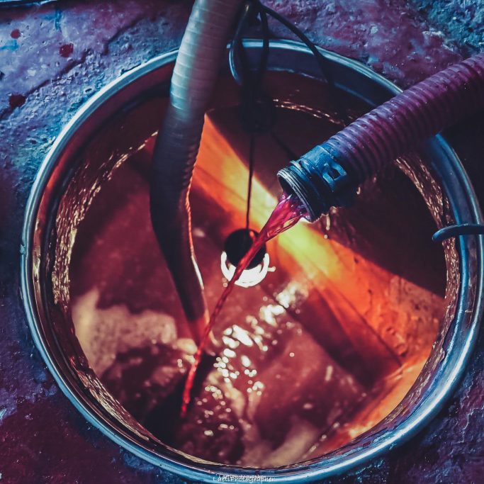 photographe-corporate-Marmande - Bordeaux